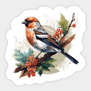 Finch Bird Sticker